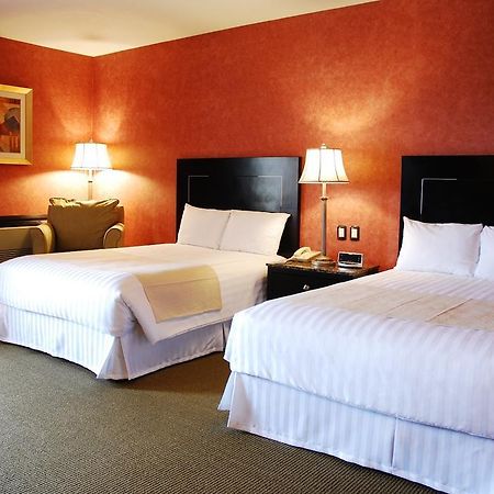 Hotel Royal Garden Reynosa Zimmer foto
